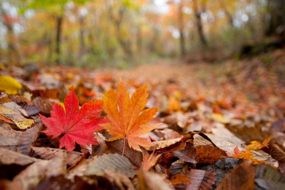 /사진=이미지투데이