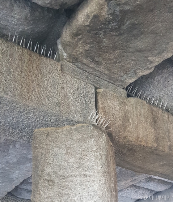 청계천 다리 밑에 설치된 비둘기들의 진입을 막기 위한 버드스파이크. / 사진 = 오진영 기자