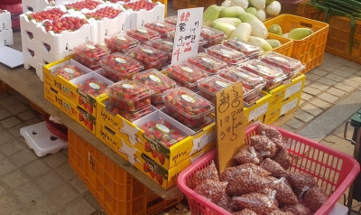 폐쇄된 신천지 시설 인근 마트 진열대. /사진=김지훈 기자