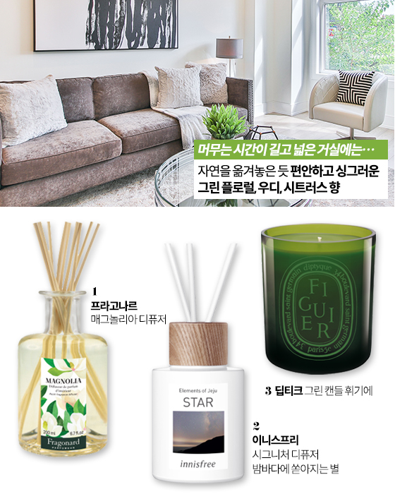 거실에서 사용하기 좋은 홈 프래그런스/사진제공=CEO인터내셔널, 이니스프리, 딥티크