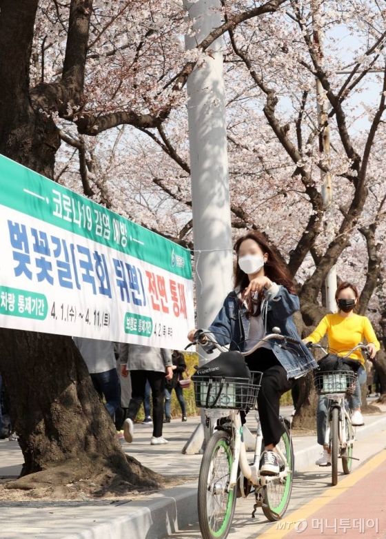 여의도 벚꽃길(국회 뒤편) 전면 통제를 하루 앞둔 지난달 31일 오후 서울 영등포구 윤중로에서 시민들이 나들이를 즐기고 있다. / 사진=김휘선 기자 hwijpg@
