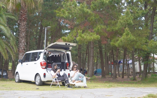 사진제공=제주엔젤카