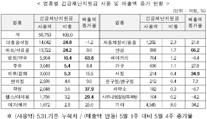 /자료=행정안전부
