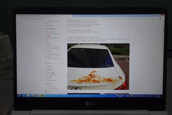 지난 5일 네이버 ‘렉서스 클럽 코리아’ 카페에 한 가입자가 ‘김치 테러’를 당했다며 올린 사진/네이버 ‘렉서스 클럽 코리아’ 관련 게시물 촬영(진상훈 기자)
