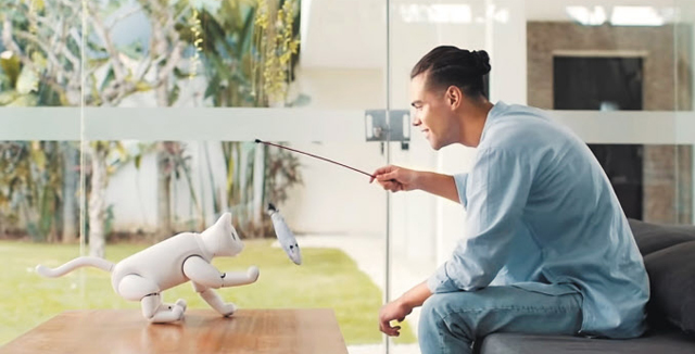 로봇 고양이도 “생선이 좋아” - 중국 로봇 제조사 엘리펀트 로보틱스가 선보이는 로봇 고양이 ‘마스캣’. 16개 관절용 모터가 탑재돼 실제 고양이처럼 걷거나 뛸 수 있다. ‘앉아’ ‘이리 와’ 등 스무 가지 명령어도 알아듣고 행동한다. /엘리펀트 로보틱스