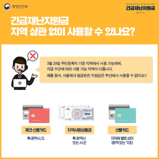 정부가 발표한 재난지원금 사용 불가 매장과 업종./행정안전부 제공