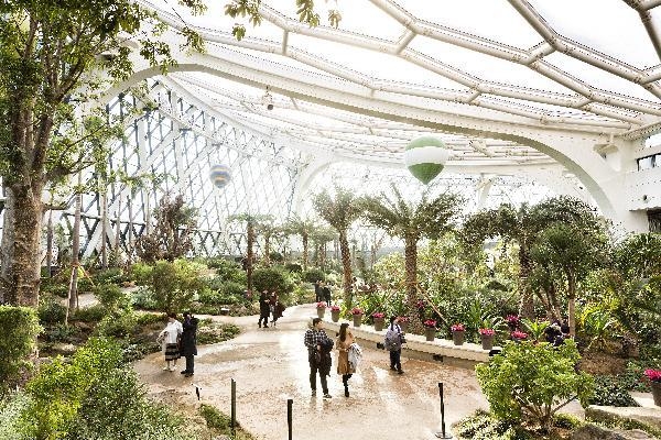 2019년 5월 1일 정식으로 문을 연 서울 강서구 마곡동 서울식물원 내부. /장련성 객원기자