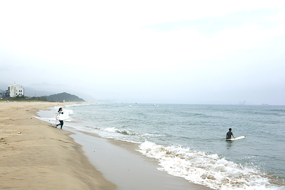 서퍼들이 사랑하는 대진해변