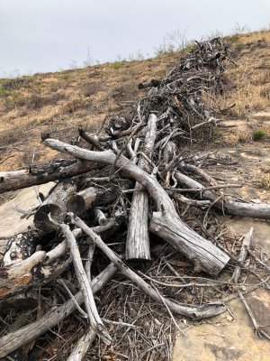 6년 전 발생했던 울산 산불 현장에서 가장 시선을 끄는 것은 산불로 타 버린 나무들을 긁어모아 쌓은 나뭇더미들의 행렬이다. 마치 불탄 나무들의 공동묘지와 같아 보인다. 울산지역 산림 전문가들과 환경운동단체는 산림 복구가 지연되고 있는 배경으로 마구잡이 벌목을 지목하고 있다. 불에 타 죽은 고목들을 모두 베어버려 넓은 야산에서 그늘 한 뼘을 찾아 볼 수 없게 돼 어린나무들이 혹독한 자연환경을 견디기 어려운 여건이라는 지적이다. /사진=최수상 기자