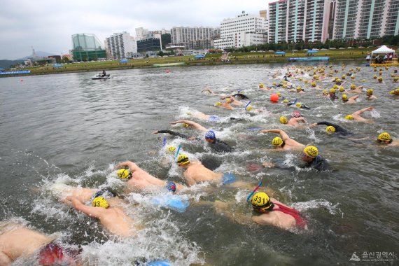 태화강 수영대회 모습. 지난 2010년 열린 대회에서 참가 선수들이 태화강 국가정원 앞을 지나고 있다. /사진=울산시