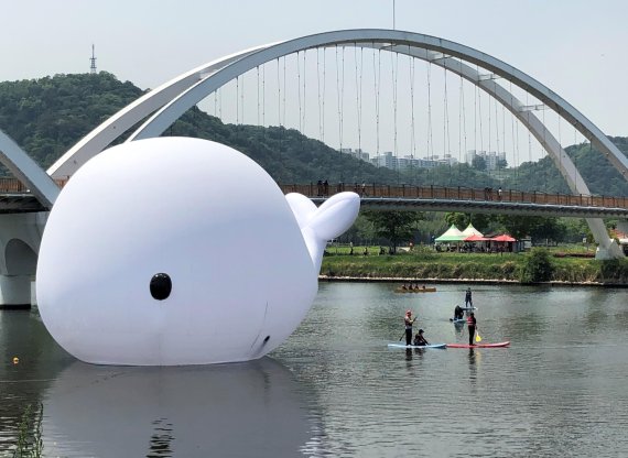 울산 태화강 국가정원에서 패들보드를 즐기고 있는 울산시민들 /사진=fnDB