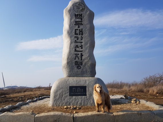 바우길 01코스 선자령 풍차길. 백두산 선자령 정상석 풍경