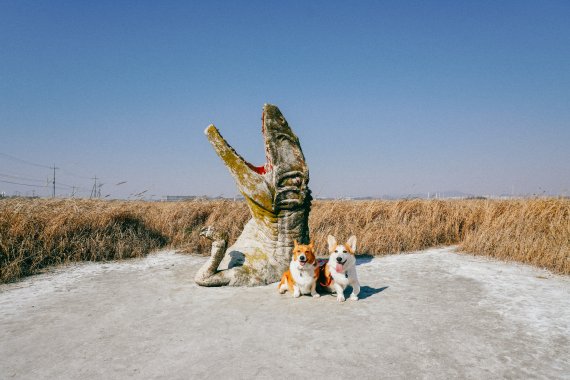 화성 고정리 공룡알 화석산지 탐방로. 입구에서 만날 수 있는 재치 있는 공룡 모형 사진스팟