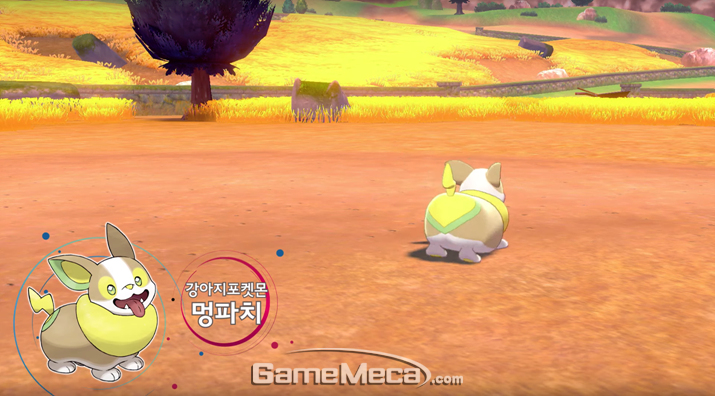 ▲ '포켓몬스터 소드/실드'에 등장하는 새 포켓몬과 캐릭터 (사진: 공식 영상 갈무리)