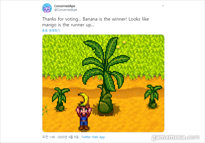 ▲ 스타듀 밸리에 바나나 나무가 추가된다 (사진출처: 컨선드에이프 공식 트위터)