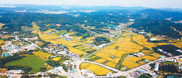 평택 브레인시티가 들어설 예정인 경기도 평택시 도일동 일대. 평택시와 평택도시공사, 브레인시티프로젝트금융투자는 도일동 일대 482만㎡(146만평)에 4차 산업을 선도하는 첨단산업단지, 대학과 연구기관 등이 어우러지는 산학연 클러스터 등을 조성해 경기 남부지역을 대표하는 자족 첨단 단지로 개발할 예정이다. [사진 제공 = 평택시]