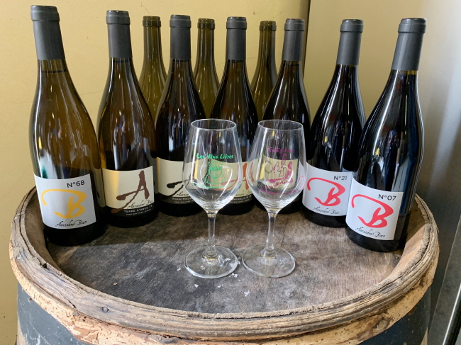 도멘 알렉상드르 방에서 시음한 와인들