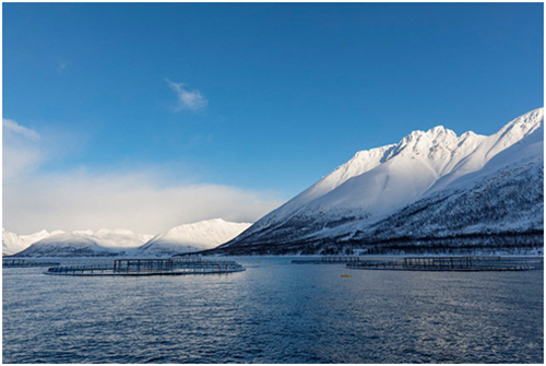 노르웨이 수산물이 잡히는 바다