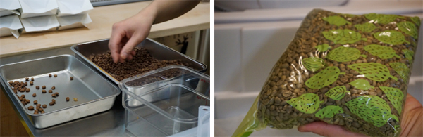 꼼꼼하게 골라낸 불량 원두(왼쪽)와 하나하나 소분된 생두(오른쪽).