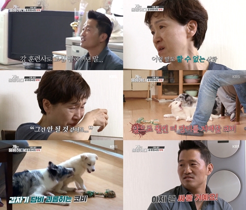 ‘개는 훌륭하다’ 강형욱이 보더콜리 보호자 앞에 무릎을 꿇고 호소했다. 사진=개는 훌륭하다 캡처