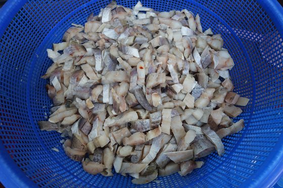 김칫소로 들어갈 명태 살. 동태 한 마리를 2장으로 포 뜬 걸 1㎝ 내외 크기로 잘랐다.