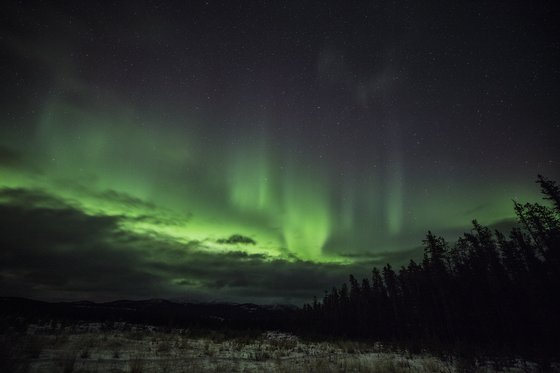 오로라 관측 명당으로 통하는 캐나다 화이트호스. 겨울이면 오로라를 보기 위해 세계 각지에서 여행자가 모여든다. 최승표 기자
