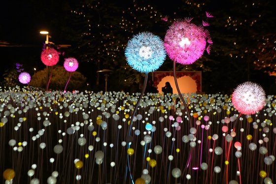 덕평휴게소 별빛우주. 야경 명소로 일부러 찾아가는 사람도 많다. [사진 한국도로공사]