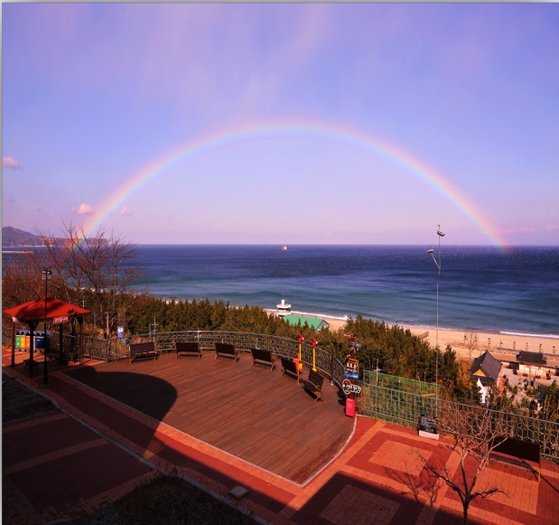 푸른 바다가 그림처럼 펼쳐지는 동해휴게소. [사진 한국도로공사]