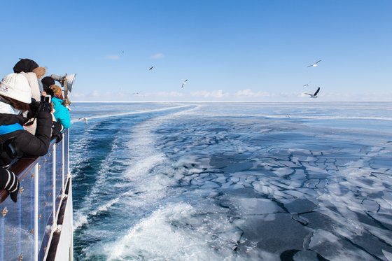 오로라호 3층 갑판에서 유빙을 감상하는 사람들. 갈매기 떼가 배에 따라붙는다. 최승표 기자