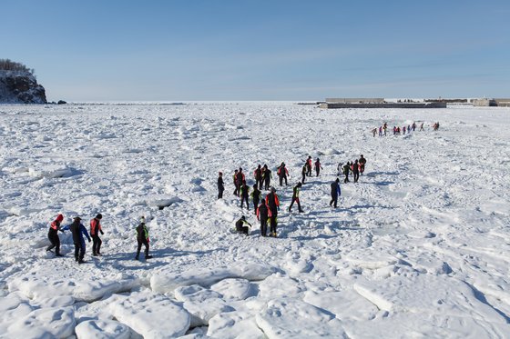 시레토코 우토로에서 바다로 걸어나가는 사람들. 펭귄 떼를 보는 것 같다. 최승표 기자