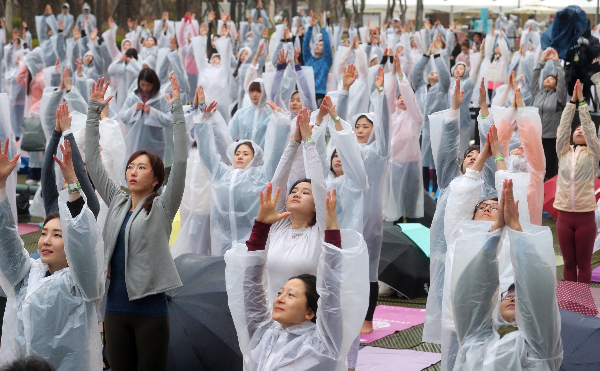 롯데백화점은 14일 창립 40주년을 기념해 전세계에서 가장 큰 요가행사인 '요가 말라 프로젝트'를 유통업계 최초로 개최했다. 이날 비가 내리는 가운데 500여명의 요가 애호가들이 롯데백화점 잠실점 월드파크에서 '108 수리야나마스카라'를 하고 있다. 최정동 기자