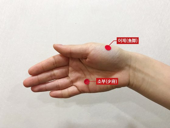 '어제'와 '소부' 혈 자리에 침을 놓으면 빠르게 열을 떨어뜨릴 수 있다. 어제는 엄지손가락 아래, 소부는 손바닥에 있다. [사진 박용환]