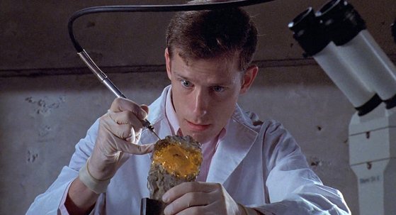 스티븐 스필버그 감독의 영화 '쥐라기 공원(1993)'에는 호박 속 모기에서 공룡의 DNA를 추출, 이를 통해 공룡을 복원한다는 테마가 나온다. 그러나 과학자들은 호박 속의 경우 DNA가 온존되기 힘든 환경이라고 입을 모은다. 또 손상된 공룡의 DNA를 양서류인 개구리의 것으로 보완한다는 것도 현실과 거리가 멀다고 지적한다. [사진 쥐라기공원 캡처]