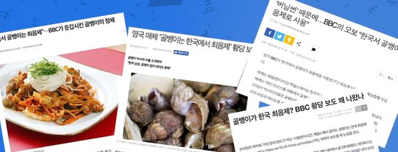 '한국에서 골뱅이는 최음제'라는 내용의 BBC 기사를 본 국내 언론들이 쓴 관련 기사들. [각 사 웹사이트 캡처]