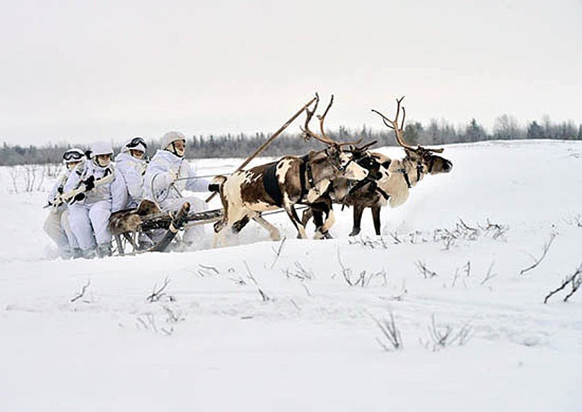 순록 썰매틀 타고 북극권 방어 훈련 중인 러시아 육군. [사진 러시아 국방부]