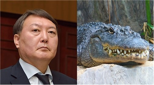 윤석열 서울중앙지검장은 카리스마 있는 악어상이다.