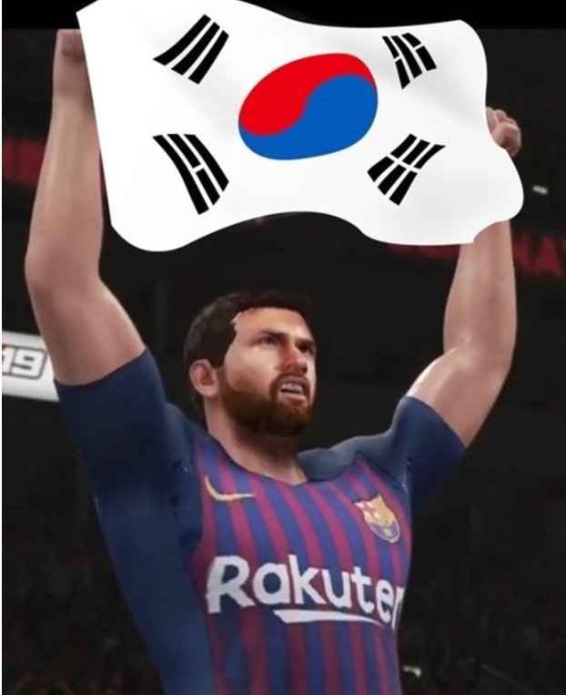 인터넷 유머 커뮤니티에 올라온 메시 합성사진. 레슬링 위에서 호날두에 승리를 거둔 뒤 태극기를 펼치고 있다. [온라인 커뮤니티 캡처]