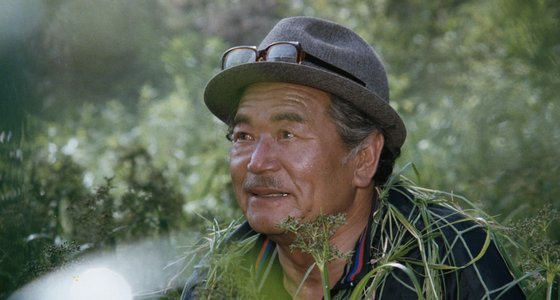 올해 개막작에 선정된 북한영화 '새'. [사진 평창남북평화영화제]