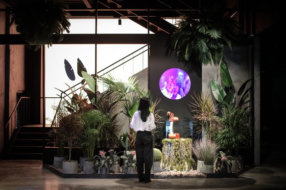 성수동 '카페봇'의 플라밍고봇. 자신을 바라보는 시선을 따라 움직이며 표정을 영상에 띄운다.