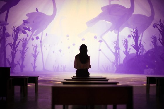 성수동 '카페봇' 미디어 아트. 6개의 영상 중 3개에는 모션 인식 센서가 달려 있어, 관객의 시선을 따라 플라밍고 새와 튜브, 구름 등이 움직인다.