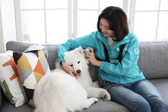 반려동물 돌봄 서비스 '도그메이트' [사진 도그메이트]