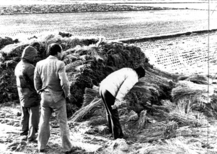 1987년 1월 경기도 화성에서 5차 사건 현장을 살피는 경찰. [연합뉴스]