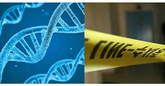 국립과학수사연구원이 100여 건의 장기미제 살인사건 증거로 보관해온 유전자정보(DNA)에 신기술을 적용해 재분석 작업을 완료했다고 밝혔다. [사진 픽사베이, 연합뉴스]