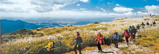 가을마다 억새 산행객이 줄을 잇는 비슬산. [사진 대구시]