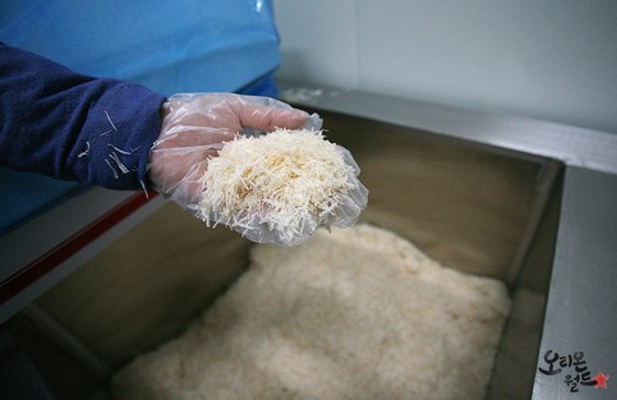 오징어땅콩의 원료로 사용되는 오징어채를 공장 관계자가 들어 보이고 있다. [사진 오리온]