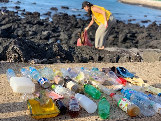 지난 7월 판포포구. 해안가에서 가장 많이 수거되는 종류중 하나인 플라스틱 쓰레기들. [사진 세이브제주바다]