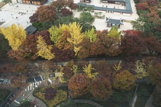 서울시청 서소문별관 전망대에서 내려다본 늦가을 정동길 풍경. [사진 한국관광공사]