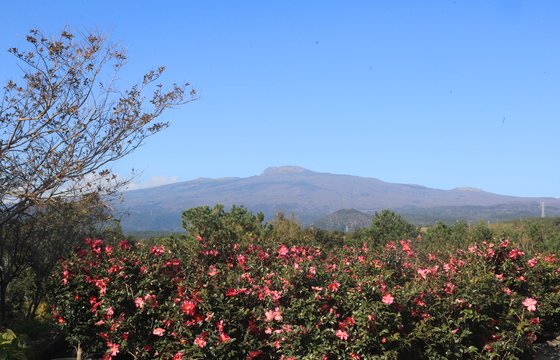 11일 오후 늦게 초미세먼지 '매우나쁨' 수준을 보인 제주도. [연합뉴스]