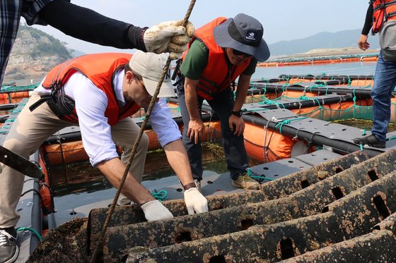 파크 하얏트 서울 총주방장 페데리코 하인즈만이 완도에 있는 양식장을 찾아가 한국 해산물 식재료의 고유한 개성과 우수한 품질에 대해 공부하고 있다. 참고로 그는 한국의 해조류에 관심과 애정이 많다.