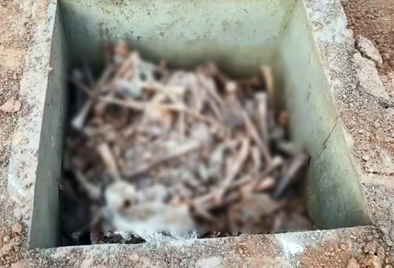 법무부는 20일 "옛 광주교도소 무연고자 공동묘지 일원을 발굴하는 과정에서 신원 미상 유골 40여 구를 발견했다"고 밝혔다. 사진은 전날 작업 과정에서 발견된 유골 모습. [연합뉴스]